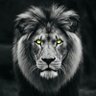 सिंहराज's profile picture