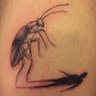 Profilbild von cockroach