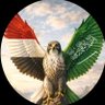 sadiq Hzaa's profile picture