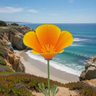 SoCal201's profile picture