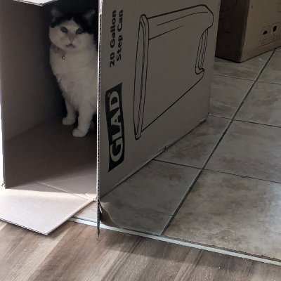 G4MR's profile picture