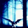 ʇɥƃƖNɐpuoɥR🪶🦅🪶🕯️🗡️🕯️'s profile picture