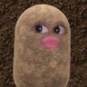 Mons's profile picture
