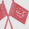 براء 的头像