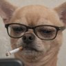 Profilbild von lux