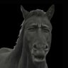 Lancelot's profile picture
