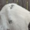 アニメ好き's profile picture
