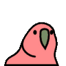 Stevei's profile picture