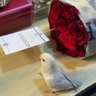 Alyaaaljaber's profile picture