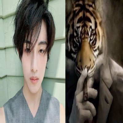 xiaojun’s eyebrows's profile picture