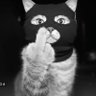 Profilbild von DamblunBoys