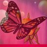 Soso's profile picture