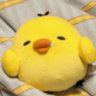Minitt's profile picture