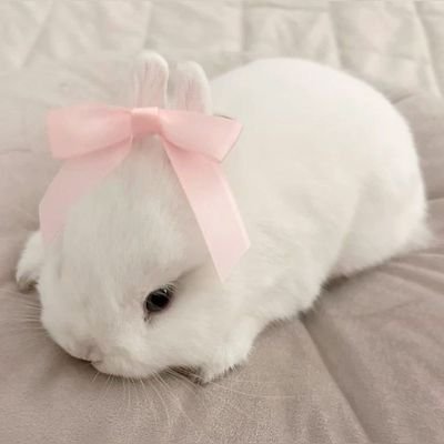 LiraPrinc3ss's profile picture