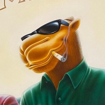 Links's profile picture