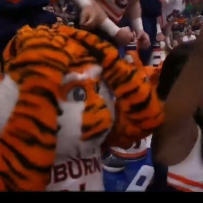 Tyler Winfrey 🦅's profile picture