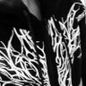 alvaro__sz's profile picture
