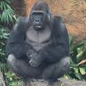 Фото профиля みんなが大好き