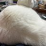 エプロン profil fotoğrafı