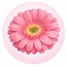 あき's profile picture