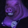 AmazingCrash's profile picture