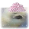 juno 🍰's profile picture