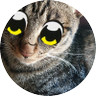 さ ねこ 的头像
