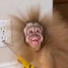 Willy Guruth's profile picture