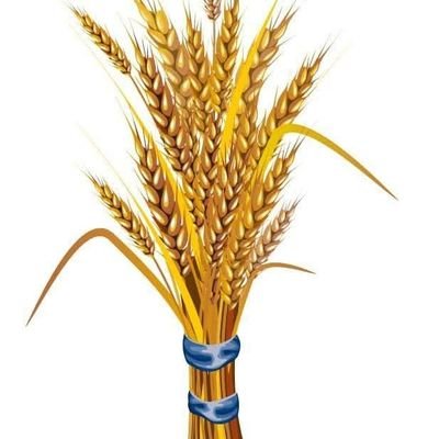 prosperity2022's profile picture