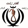 Mr M R.Lor of Iran 的头像