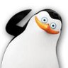 비둘기가무서워요✝️'s profile picture