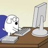 Señor GIF profil fotoğrafı