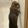 ちょこもなか 的头像