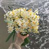 🌼زهـــ🌼ــرة الياسـ🌼ــمـيــ🌼ــن🌼 的头像