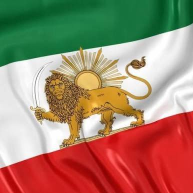 LionSunVoice 🦁☀️🇮🇷's profile picture