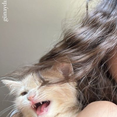 ؟'s profile picture