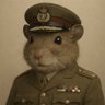 Major Gerbil 🏴's profile picture