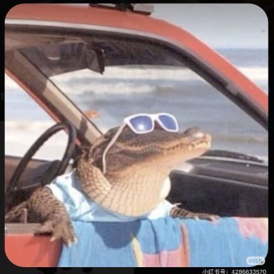 举个栗子's profile picture
