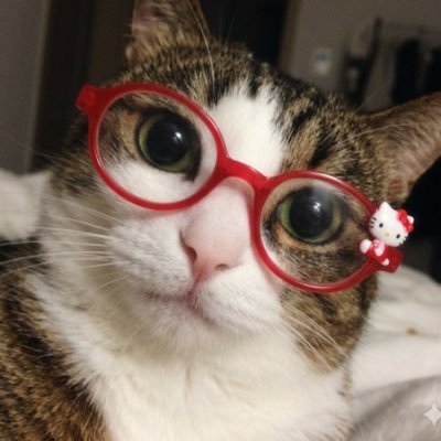 뿌리's profile picture
