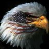 Freedom in America! profil fotoğrafı
