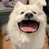 Zmy 的头像