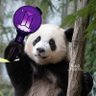 🐼🐰ป้าแมว🐰🐼's profile picture