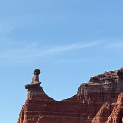 Maximillionn___'s profile picture