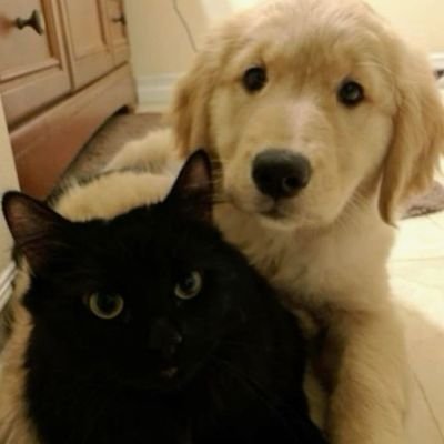 witthhS2's profile picture