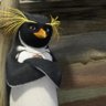 Simplex's profile picture