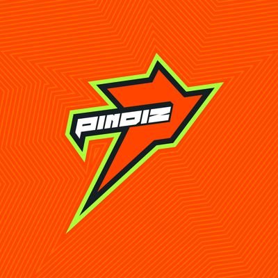 RawalPINDIZ's profile picture
