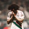 Volta gordocelo's profile picture