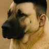 Chromatic Aberration's profile picture