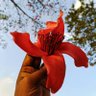 Avinash Mishra 🇮🇳's profile picture
