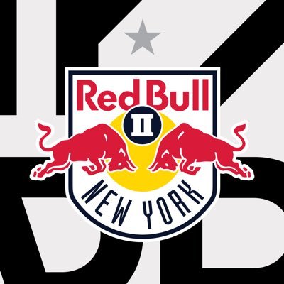 Red Bull New York II's profile picture